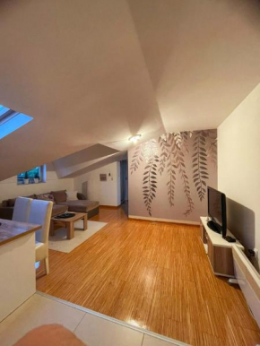 Apartman Savic